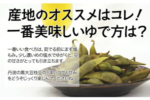 【送料無料】これはウマイ!丹波篠山の黒大豆枝豆(黒豆/丹波黒/枝豆/たんざく)1kg