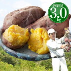 安納芋 種子島産 送料無料 訳あり 無選別 3kg 焼き芋 はもちろん干し芋にも さつまいも サツマイモ やきいも 鹿児島県【MR】 [向井さんの安納芋無選別3kg]