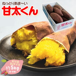 yoגz܂ p [Ñ 啪Y 5kg (3LTCY 8-9{) ] 񂽂 J^ Tc}C ܈@󂠂 g͂邩 ׂɂ͂邩 Ă Ă Ƃ x Â 