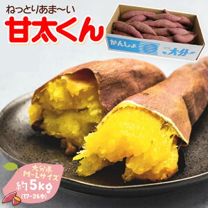 yoגz܂ p [Ñ 啪Y 5kg (M-LTCY 17{-26{) ] 񂽂 J^ Tc}C ܈@󂠂 g͂邩 ׂɂ͂邩 Ă Ă Ƃ x Â 