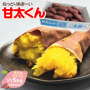 yoגz܂ p [Ñ 啪Y 5kg STCY ] 40{O 񂽂 J^ Tc}C ܈@󂠂 g͂邩 ׂɂ͂邩 Ă Ă Ƃ x Â 