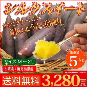 店長激オシ送料無料!!絹のような舌触りと強い甘みが特徴「シルクスイート」5kg