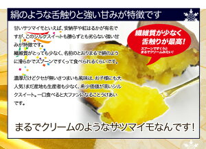 店長激オシ送料無料!!絹のような舌触りと強い甘みが特徴「シルクスイート」5kg