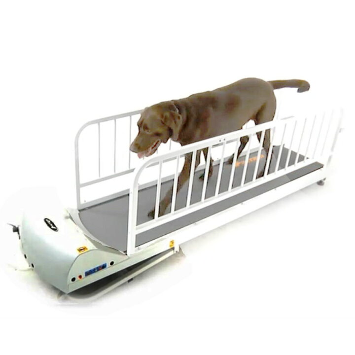 楽天市場】犬の運動器ペットランPR725【大型犬用ルームランナー】走行 