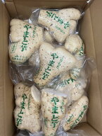 千葉特産 大和芋 1箱4キロ自然薯のような粘り