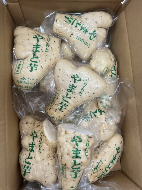 楽天市場】千葉特産 大和芋 1箱4キロ自然薯のような粘り : 水郷佐原 4