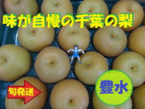 tYL15kg咆TCY