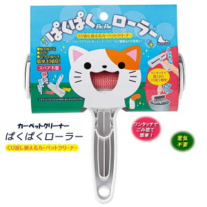 ybg̔ё|ɍœK nfBGRN[i[ςς[[ J[ybg | { GR dC炸  L oϓI Ԃ G`PbguV 2021NxObhfUC܎ N