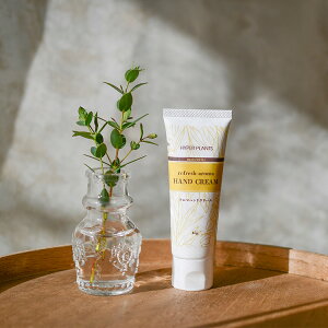 A}nhN[ tbVVgXn[u̍ ێ  ɗD A} { NX}X  G lal filo