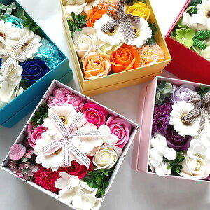  Mtg j a ސEj v[g  {bNXAW lߍ킹 oXy^ \[vt[ oXtOX NX}X  G lal filo