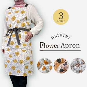 obNNXGv ԕ t[ a Gv t[ Lb`  NX}X  G lal filo