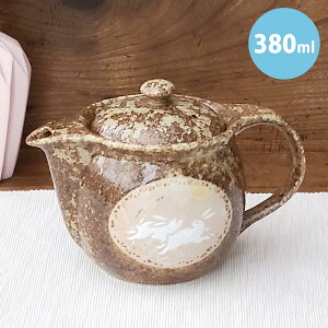  |bg RVt 380ml { Z j n̐H hV̓  G lal filo