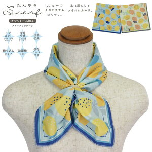 XJ[t ėp  Ђ ڐG⊴ XJ[t UVJbg MǑ΍  ₷ NX}X N[XJ[t  G lal filo