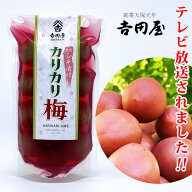 【テレビ放映されました！】【カリカリ梅220g×2個セット】国産 カリカリ梅 塩分12％ しそ漬 ギフト WAON…