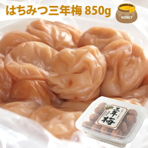 y݂͂ON~ 850gz@݂͂~ ~ 8 Y 썂~ MǑ΍ Mtg  umecafeWAON ~JtF gc