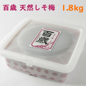 yS΁hVR~h1.8kgz ~ 12 Y MǑ΍ Mtg  umecafeWAON ~JtF gc