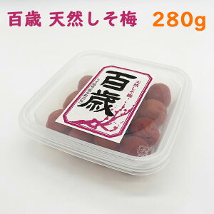 yS΁hVR~h 280gz ~ 12 Y MǑ΍ Mtg  umecafeWAON ~JtF gc
