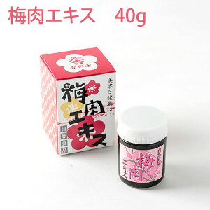yMtgzy~GLX 40gz Y 픲 Ђ fU[g XC[c F MǑ΍ Mtg umecafeWAON ~JtF gc