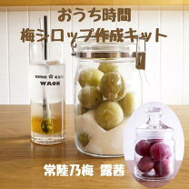 楽天市場】梅酒 手作り セット 500gの通販
