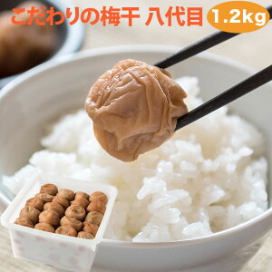 y 1.2kgzY ~ 10 Y 썂~ ̂Ȃ MǑ΍ Mtg  umecafeWAON ~JtF gc