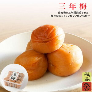 yON~ ƒpp 250gz ~ 10 Y 썂~ MǑ΍ Mtg  umecafeWAON ~JtF gc