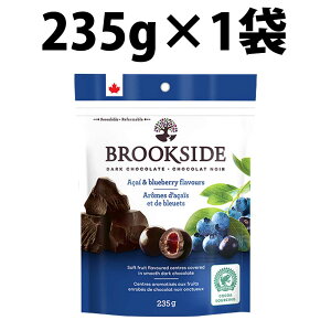 yV1 󂠂 ubNTCh _[N`R[g 235g 1 2 BROOKSIDE CHOCOLATE `R[g VR Zkʏ` `R ATC[ u[x[ SW Yx[ UN t[c Ji_ A 