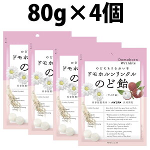 yV1 pC hzN ̂ǈ 80g 2 3 4 48 1P[X hzN̂ǈ pC  LfB[  A C` R[Q Q LNQ 邨 V^