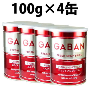 yV1 GABAN Mo Guhv@X 100g ʓ 1 2 4 т XpCX n[u~bNX ~bNXn[u rXg uhn[u v@T Z[W ^C tFl