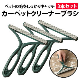 ＼50%offクーポン有／ 楽天1位 カーペットブラシ 3本セット カーペットクリーナー ブラシ ペット 犬 猫 毛玉 毛玉取り 掃除 抜け毛 キャットタワー コロコロ 掃除機 経済的 カバー カーペット クリーナー カーペット ブラシ よく取れる 絨毯 シンプル 簡単 繰り返し スイスイ