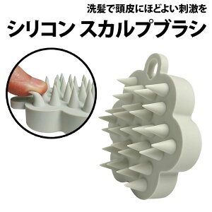 _50%offN[|L^ XJvuV VR 1 CgO[ uV uV wbhXp }bT[W Vv[uV PA wAuV T  XJvPA uV V