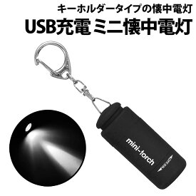 ＼50%offクーポン有／ ミニ 懐中電灯 USB充電式 白熱球 ライトキーホルダー ハンディライト キャンプ アウトドア 小型 携帯 防犯 防災 車 玄関 子供 ペット 夜間 散歩 鍵 カギ穴 足元 LEDライト ミニ懐中電灯 キーホルダー ライト ポケット 軽量 コンパクト ブラック 高輝度L