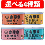 吉野家 缶飯 玄米入り 牛丼 豚丼 焼鶏丼 焼塩さば 160g 1缶 4缶 6缶 12缶 組合せ 金のいぶき ご飯缶詰 胚…