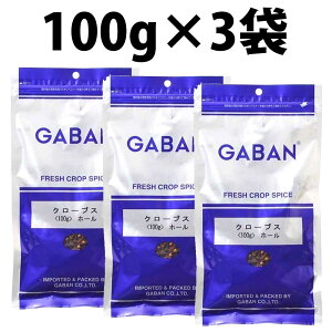 yV1 Mo N[uXz[ 100g GABAN XpCX  h V[h n[u Ɩp N[uX z[ J[ N[uz[ N[u r[tV`[ sNX }l AbvpC 