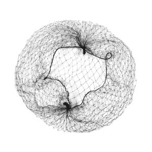 _50%offN[|L^ yV1 Vjlbg 10Zbg  50cmOTCY ɍ  wAlbg AVAilbg cq oG CA Ōt A OwA d Vj V̑ \