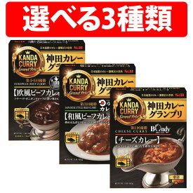 エスビー食品 神田カレーグランプリ 1個 2個 12個 100時間カレーB&R 欧風ビーフカレー 欧風カレーボンディ チーズカレー 神田カレー お店の中辛 神田カレー 和風だし レンジ対応 エスビー食品 SB カレー レトルト 詰め合わせ セット ビーフカレー 名店 ギフト レトルトカレー