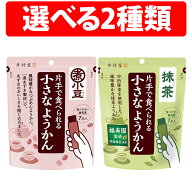 訳あり 賞味期限 抹茶 26.04.08 井村屋 片手で食べられる小さなようかん 15g 7本 1袋 3袋 4袋 ミニサイズ…