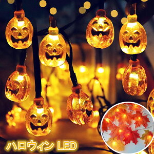 nEB  LED J{`Cg gtCg t 30/40LEDd 6m nEB 胉Cg XgOXCg pvLCg ͋C DIY  O   Ɩ y 