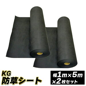 KGhV[gy105cmz5m 2Zbg(10ĕ)@hV[g Gh~V[g V[g   G΍ _Ǝ K[fjO ƒ؉ nEX h~ GV[g k͔| |pi 