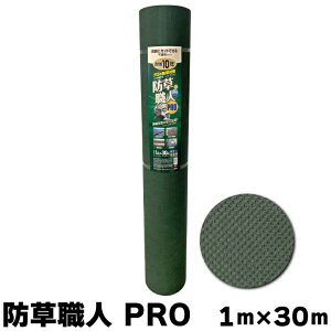 hElPRO 1m×30m XO[ G G΍ sDz Jbg V[g h Ռ99 l  