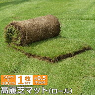 芝生 高麗芝 1ロール 50cm×1m マット 約0.5平米分 天然芝 芝生 ロール芝 夏芝 庭 ガーデニング こうらい…