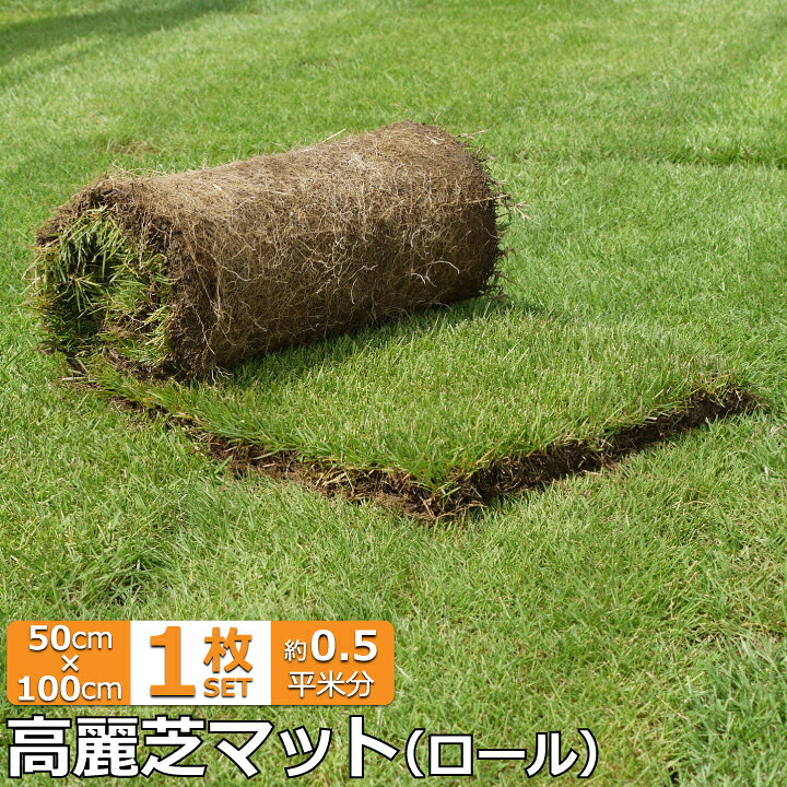 楽天市場 送料無料 芝生 高麗芝 ロール 50cm 1m マット 約0 5平米分 天然芝 芝生 ロール芝 夏芝 庭 ガーデニング こうらいしば 国分グリーンファーム