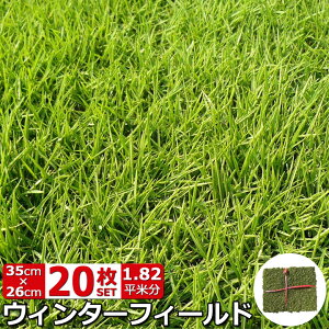 楽天市場 天然芝生 高麗芝 ウィンターフィールド 国分グリーンファーム