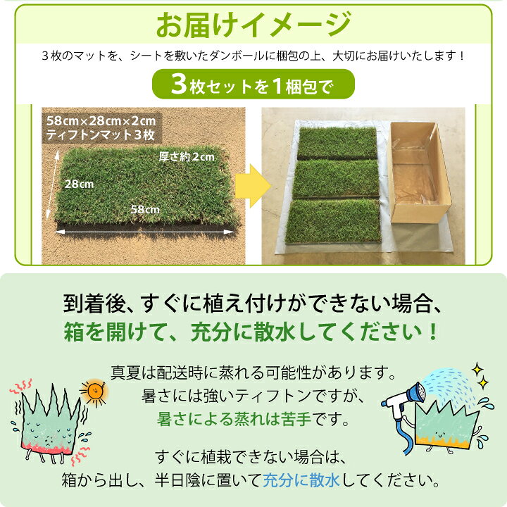 楽天市場】ティフトンマット 3枚セット【約0.5平米】 ティフトン芝 