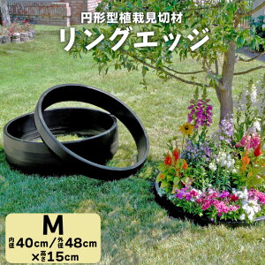 K[fGbW K[fjO tFX K A͌؍ OGbW MTCYia40cm 15cmjԒd ubN y T[N d؂ lHŌ؂ ؂ K[fjO Ԓd 