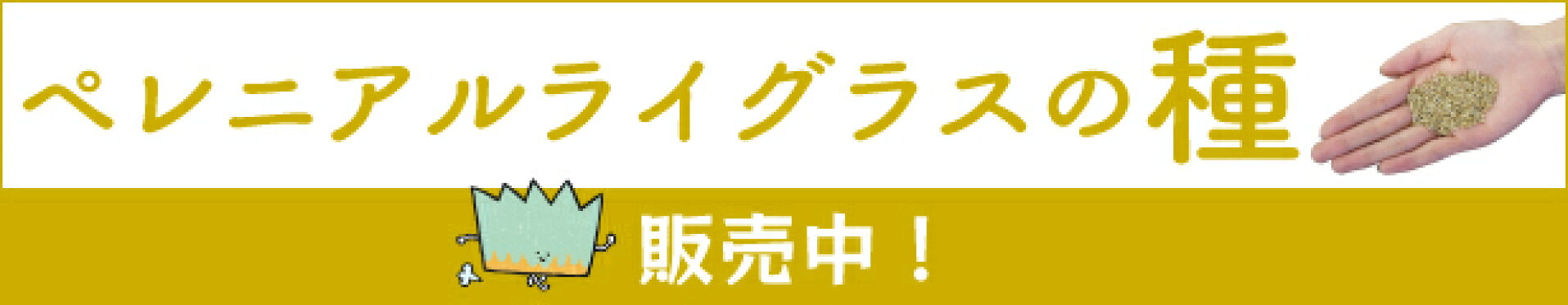 オーバーシード用ペレニアルライグラス種