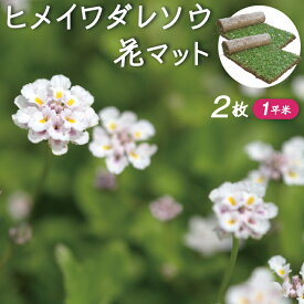 楽天市場 斜面 土留め 植物の通販