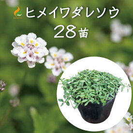 楽天市場 斜面 土留め 植物の通販