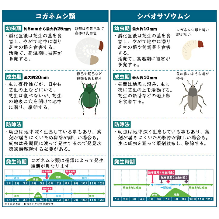芝生 殺虫剤 スミチオン乳剤 500ml 芝生に使える殺虫剤 スジキリヨトウ カメムシ アブラムシ 家庭用園芸 芝生 虫対策 害虫駆除 国分グリーンファーム