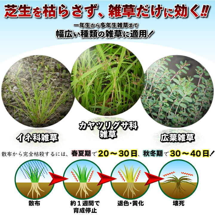 楽天市場 送料無料 芝生の強雑草 ハマスゲ ヒメクグ等々の除草及び予防に芝用除草剤シバゲンdf g ハマスゲ ヒメクグ等々の芝生除草 除草剤 国分グリーンファーム