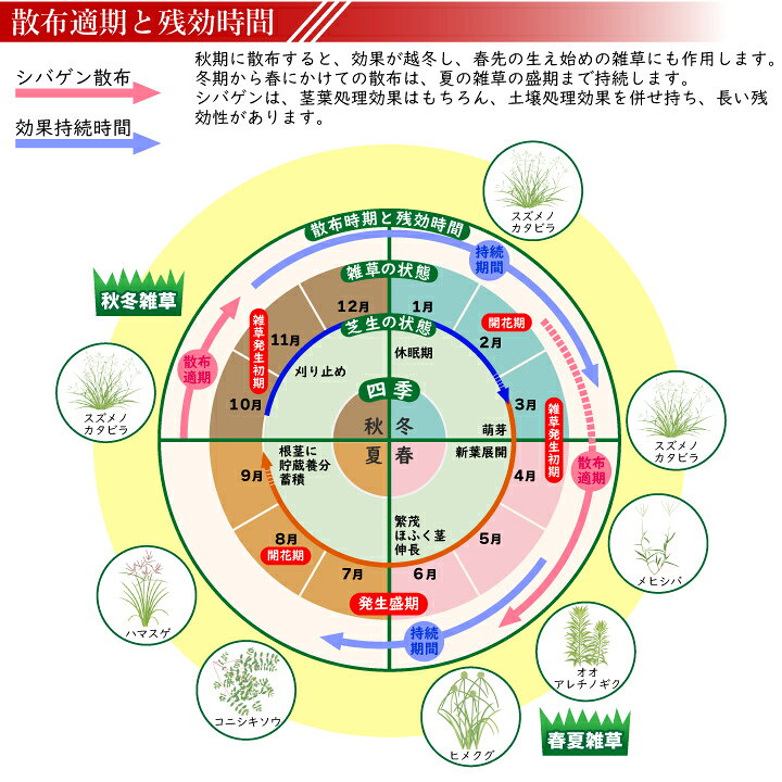 楽天市場 送料無料 芝生の強雑草 ハマスゲ ヒメクグ等々の除草及び予防に芝用除草剤シバゲンdf g ハマスゲ ヒメクグ等々の芝生除草 除草剤 国分グリーンファーム